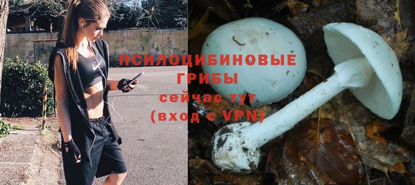 трава Осташков