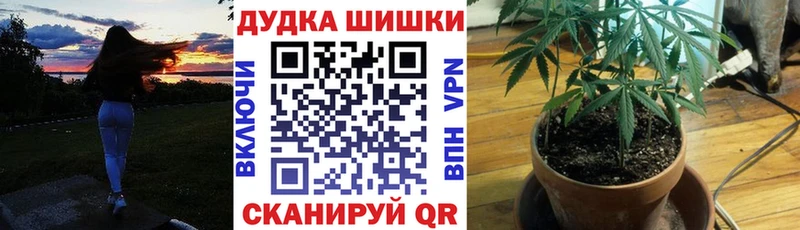 Бошки марихуана семена  MEGA ONION  Боготол 